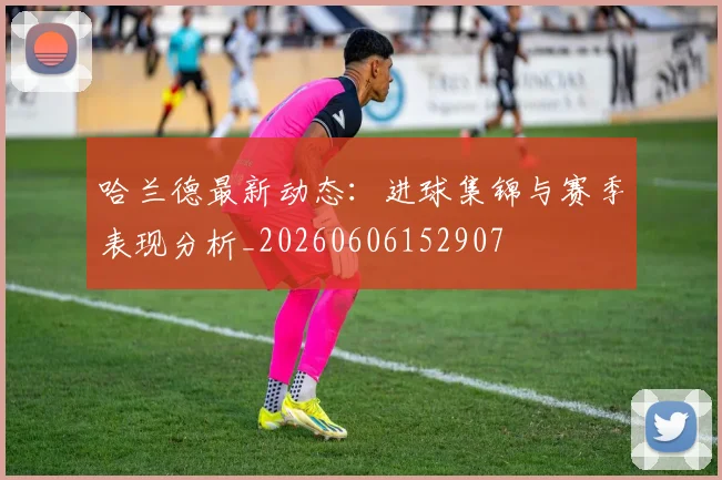 哈兰德最新动态:进球集锦与赛季表现分析_20260606152907