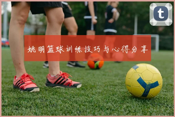 姚明篮球训练技巧与心得分享