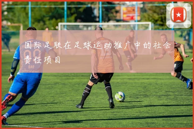 国际足联在足球运动推广中的社会责任项目